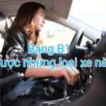 Bằng lái xe B1 có được lái xe công ty, xe kinh doanh vận tải hay không ?